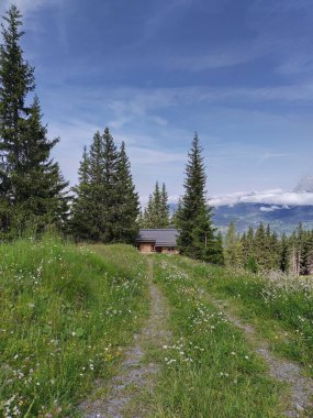 Pathway at blooming austrian alpine pasture at Hauser Kaibling in summer to romantic hidden mountain cabin in the Alps. Scenic view of mountain, conifers and valley in distance (Ennstal in Styria). clipart