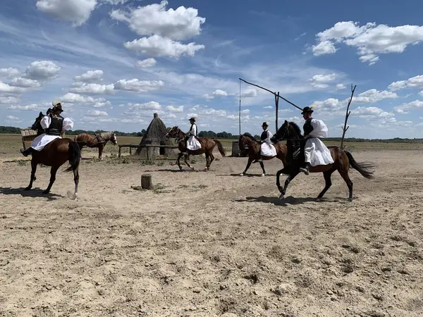 stock image Bugac, Hungary, August 7, 2024: Skilled Csiks, hungarian herdsman or cowboys, in traditional clothing at riding show in the Hungarian Puszta. Draw Well in background.