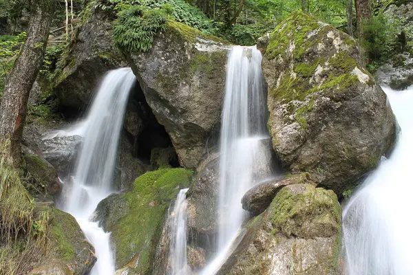 Myrafalls (Almanca: Myra Flle). Aşağı Avusturya 'da ünlü, güzel şelaleler. Myrabach (nehir) boğazdan geçen birkaç çağlayanın içine düşer. 600 metre uzunluğunda, 70 metre yüksekliğinde bir uçurum..