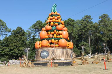 Stone Mountain, GA, USA  September 20, 2024: Decorative Halloween Decoration at Stone Mountain Park made of many bright pumpkins. Giant pumpkin tree at daytime at Stone Mountain Park Pumpkin Festival. clipart