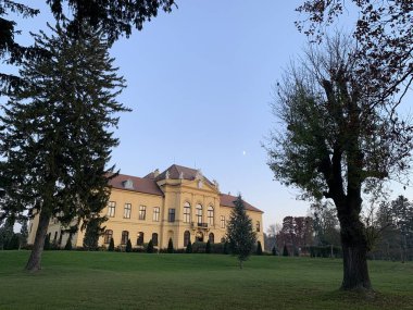 Eckarsau, Avusturya, 9 Kasım 2024: Eski imparatorluk konutu Schloss Eckartsau 'nun ön cephesi Aşağı Avusturya' da saray bahçesindeki ağaçlar tarafından çerçevelenmiştir. Sonbaharda gün batımından sonra. Ay yükseldi..