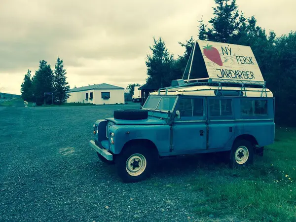Borgarfjrur, İzlanda - 2 Eylül 2015: İzlanda 'da yolun kenarındaki Land Rover 109' un çatısındaki reklam çilekleri tanıtıyor, İzlandaca: ny fersk jardarber (yeni, taze çilekler))