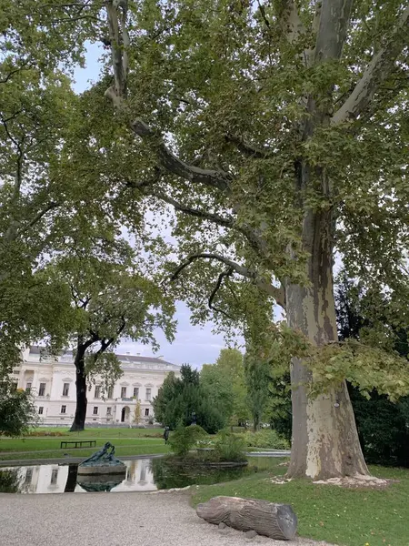 Viyana, Avusturya - 13 Ekim 2024: Liechtensteinpark 'taki Prenses Dowager Sarayı' nın dikey görüntüsü. Gölet boyunca patika ve büyük ağaç. Sonbaharın erken saatlerinde. Viyana şehir merkezinde ünlü bir manzara.