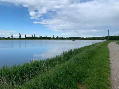 Hohenau, Ganserndorf, Lower Austria - May 22, 2021: Towpath on damm crest of huge fish pond on warm spring day with row of poplars in back. Clouds reflecting on water surface. Tufts of fresh grown grass. clipart