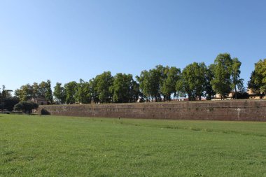 Lucca, Toscana, Italia - 01 Ekim 2021: Buzullardan büyük Rönesans dönemi şehir duvarlarına, yazın sonlarına doğru üzerinde yaşlı ağaçlar olan manzaralar.