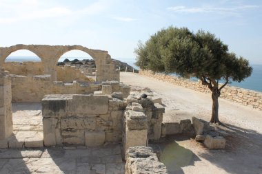 Kourion, Episkopi, Kıbrıs - 30 Eylül 2018: Kourion arkeolojik kalıntıları taş yapılar, zeytin ağacı ve Akdeniz eğrisi.