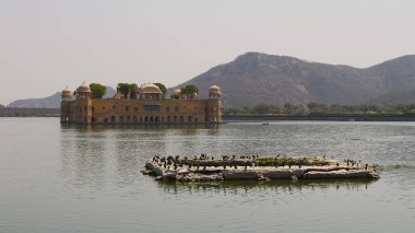 Jaipur, Rajasthan, Hindistan - 08 Mart 2019: Arkaplanda ünlü Su Sarayı Jal Mahal ve Aravalli tepeleriyle Man Sagar Gölü 'nün panoramik manzarası.
