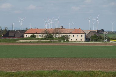 Lassee, Gaenserndorf, Aşağı Avusturya - 20 Nisan 2025: Tarım arazisi, 