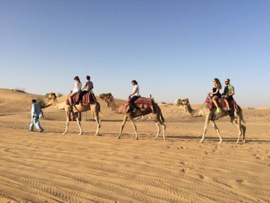 Dubai, Birleşik Arap Emirlikleri - 26 Mayıs 2017: Turistler Arap Çölü 'nden geçen bir kervana eyerli Dromedary veya Arap devesiyle biniyorlar. Emniyet gerekçesiyle tasma ve ağızlık, grubun lideri..