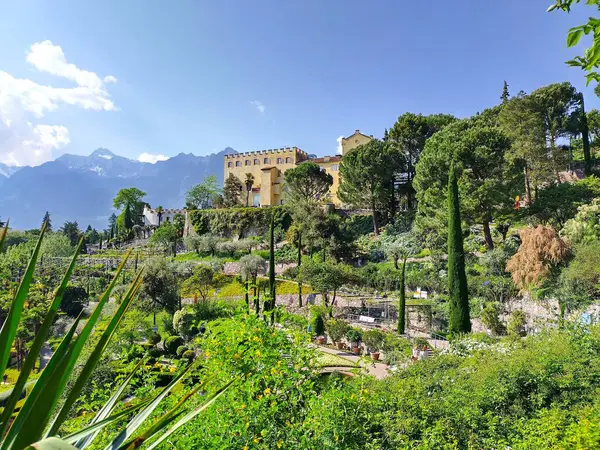 Meran, Güney Tyrol, İtalya 2 Mayıs 2025: Trauttmansdorff Kalesi Bahçeleri manzaralı botanik bahçeleri. Başlangıçta Kont Joseph von Trauttmansdorff tarafından 1850 'de hazırlandı. Topraklar yaklaşık 80 bahçe içeriyor.