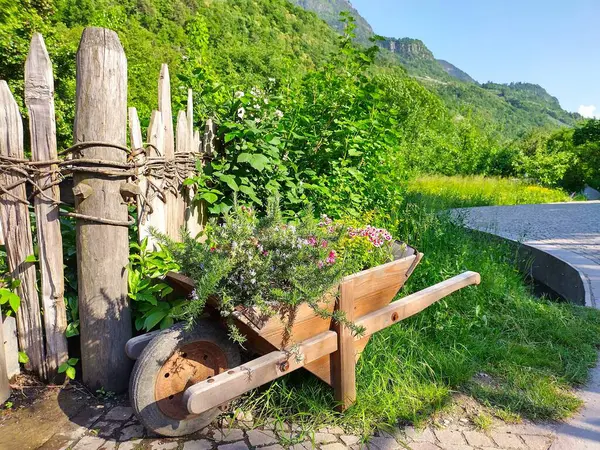 Antika çitlerin önüne tahta el arabası diktim. Meran, Güney Tyrol, İtalya 'daki Trauttmansdorff Kalesi' nin Güzel Bahçeleri. Baharda güneşli bir gün. Topraklarda yaklaşık 80 farklı bahçe var..