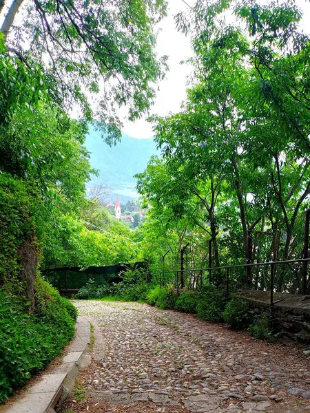 Merano 'daki Tappeinerweg' in (Tappeiner Promenade) bir bölümünün dikey görüntüsü (Meran), Güney Tyrol, İtalya taştan yapılmıştır. Uzaktan kilise manzarası. Ağaçlar tarafından çerçevelenmiş. Baharda güneşli bir gün.