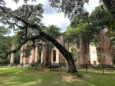 Beaufort, Güney Carolina, ABD, 25 Eylül 2024 Eski Sheldon Kilisesi kalıntıları ya da Prens Williams Kilisesi 1745 'te inşa edildi. İspanyol yosunu dolu meşe ağaçlarıyla çevrili tarihi bir yer..
