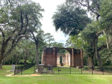 Beaufort, SC, ABD, 25 Eylül 2024: 1745 ve 1753 yılları arasında inşa edilen Eski Sheldon Kilisesi kalıntıları veya Prens Williams Kilisesi 'nin manzarası. İki kez yandı. Yaşlı meşe ağaçlarıyla çevrili.