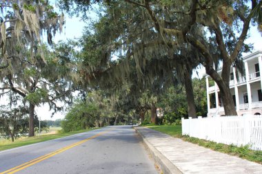 Beaufort, SC, ABD - 25 Eylül 2024: Lowland, Güney Carolina 'da tipik manzaralı yol. Antebellum evi ve boş cadde İspanyol yosunlarıyla dolu meşe ağaçları ile çevrili.. 