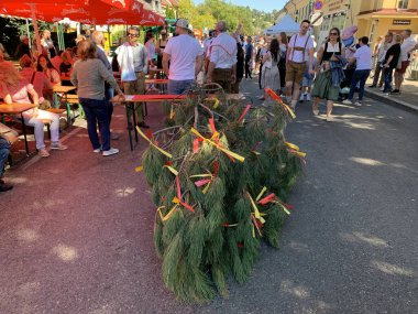 Viyana, Avusturya - 24 Ağustos 2025: Geleneksel giysiler içindeki güçlü gençler, geleneksel Viyana şarap üreticisi Neustifter Kirtag festivalinde sembolik Hiatabaum 'u (koruyucu ağaç) kaldırmaya hazırlanıyorlar.