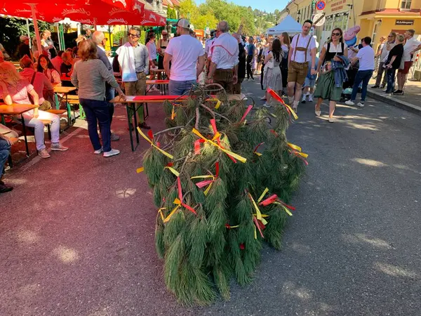 Viyana, Avusturya - 24 Ağustos 2025: Geleneksel giysiler içindeki güçlü gençler, geleneksel Viyana şarap üreticisi Neustifter Kirtag festivalinde sembolik Hiatabaum 'u (koruyucu ağaç) kaldırmaya hazırlanıyorlar.