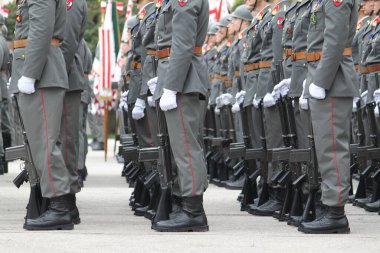 Wiener Neustadt, Lower Austria - September 27, 2025: Formation of Austrian Armed Forces soldiers standing at attention during 