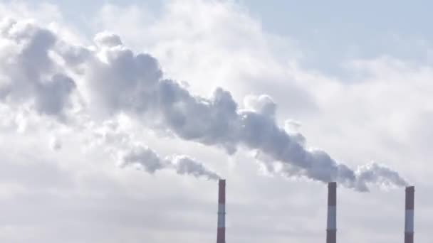 Fumo Uma Chaminé Uma Central Térmica Poluição Céu Fundo Ambiental — Vídeo de Stock