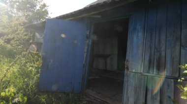 Terk edilmiş bir evde açık bir kapı. Ev yabani çalılarla kaplanmış. Ürkütücü ve korkutucu.