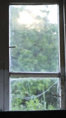 Dikey video güneş ışınları eski bir ahşap pencereyi kırıyor. Güneş ağaç dallarından geçerek eski bir evin penceresine doğru parlıyor. Terk edilmiş ev