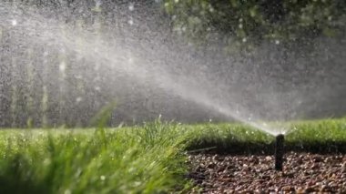 Kapalı fıskiye suları yeşil çimenlik. Otomatik çim sulama fıskiyesi halka açık bir parkta. Bahçe sulama sistemi. Yüksek kalite 4k görüntü