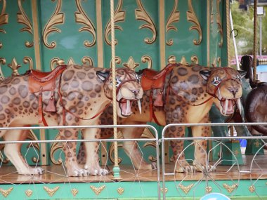 Atlı karınca, yuvarlak.