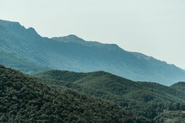 Büyük yeşil ormanlı bir dağ.
