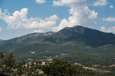 Birkaç ağaç ve bulutlu bir dağ sırası.