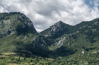 Yeşil çayırları ve ormanları olan bir dağ sırası.