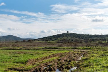 Küçük bir su akıntısı ve tepenin üstünde eski bir yel değirmeni olan bir tarla.