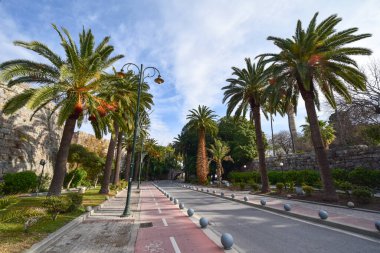 Palmiye ağaçları ve taş duvarlarla kaplı bir sokak, Kos, Yunanistan