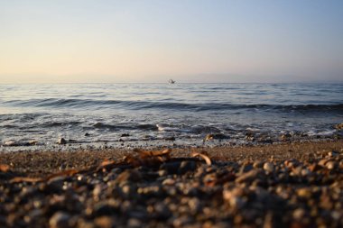 Su kütlesi olan bir kasaba manzarası.