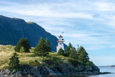 Bonne Körfezi Denizcilik İstasyonu üzerinden Woody Point Deniz Feneri için UNESCO sahasında geziniyor.