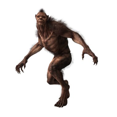 Render of a lycan wolf man figure isolated on a white background