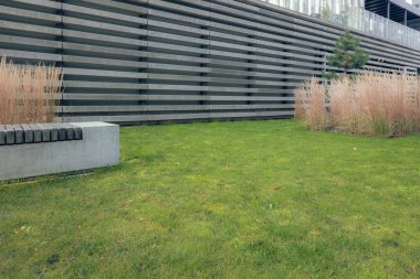 Modern tasarım bahçe peyzajı. Modern ofis binasının yanındaki görkemli süs eşyası sazlık ve yeşil çimenler..