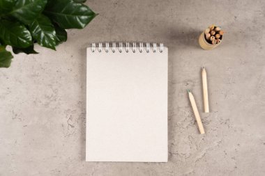 Geri dönüşümlü kâğıt sarmal boş defter ve kağıt kutu içinde tahta kalemlerle dolu gri masa arkaplanlı modern işyeri. Üst görünüm.