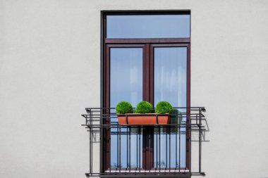 Window doors and french balcony decorated with three green potted plants.