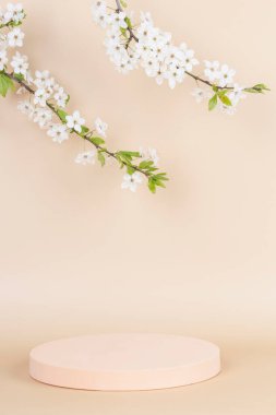 Geometric round podium platform stand for product presentation and spring blooming tree branch with white flowers on pastel pink background. Front view, copy space.