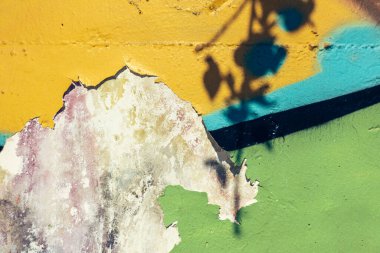 Eski, yıpranmış renkli duvar yazıları. Bitkilerin gölgeleriyle boyanmış duvarlar..