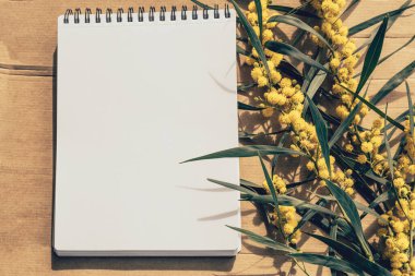 Boş sayfalı ve kahverengi karton zemin üzerinde çiçek açan akasya dallı spiral bir defter aç. Üst görünüm.