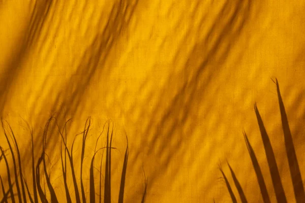 Palma Lascia Ombre Silhouette Tessuto Strutturato Giallo — Foto Stock
