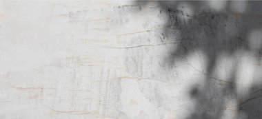 Eski grunge parçalanmış kolaj sokak posterleri buruşuk kağıt pankart ve ağaç yaprakları gölgeler. Yırtılmış eski kağıt arkaplan yüzey pankartı arkaplanı.