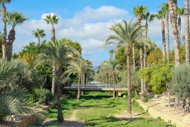 Güzel Albir Resort 'a bakın. Bulevard müzikleri köprülerle ve palmiyelerle süslüyor. Albir, Benidorm, LAlfas del Pi belediyesi, Alicante ili, İspanya yakınlarındaki tatil beldesini rahatlatır..