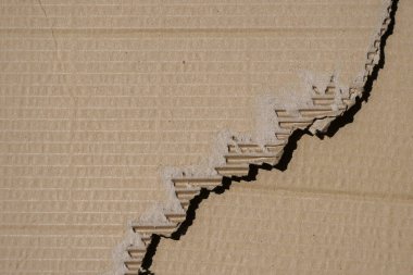 Kahverengi karton desenli arka planda yırtık kenarlı eski desenli karton çarşaf. Üst görünüm, alanı kopyala.