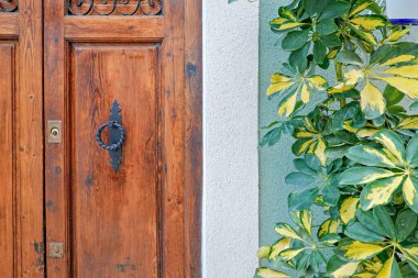 Brown wooden entrance door with lush green foliage.