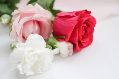 Kırmızı, Pembe, Beyaz Güller ve Karanfil 'e yakın çekim