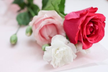 Kırmızı, Pembe, Beyaz Güller ve Karanfil 'e yakın çekim