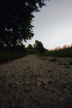 Harika bir yere götüren kayalık bir toprak yol. Ağaçlarla çevrili yol ve büyüleyici gökyüzü manzarası bizi eve götürür..