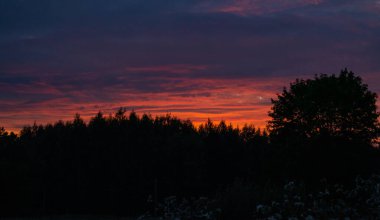 Akşam gökyüzü turuncuya boyandığında. Gökteki çiy taneleri ağaçları gösteriyor, bu da manzarayı olağanüstü kılıyor..